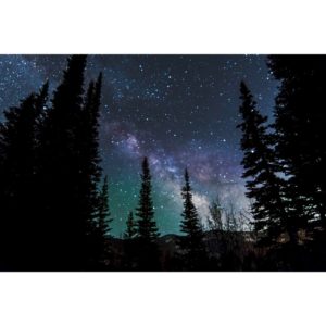 A Night with the Stars